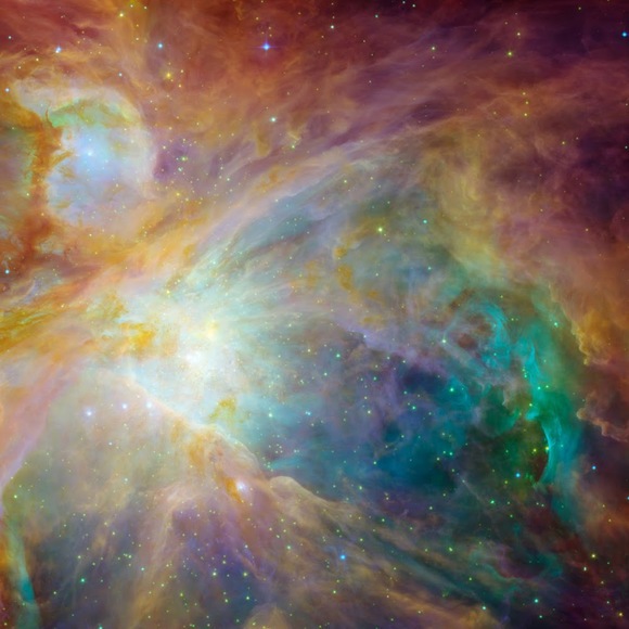 Meet your Posher, Caroline - Picture 1 of 1